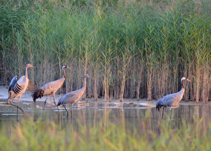 ????????????????????????????????????