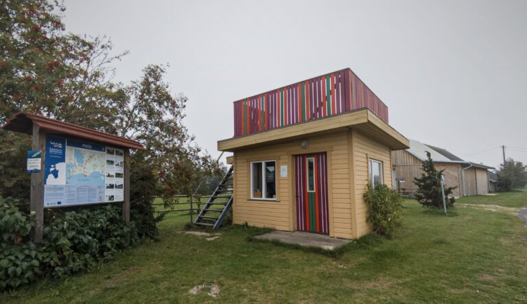 Puise viewing platform