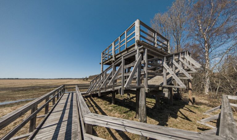 Rannajõe viewing platform