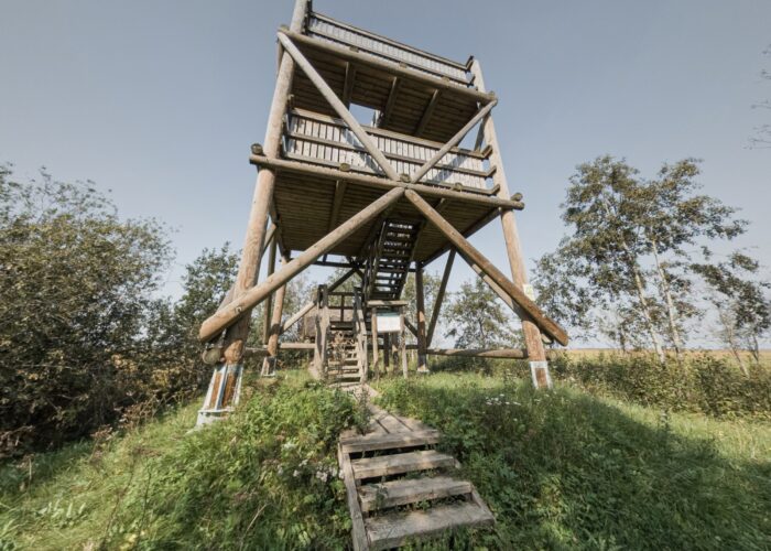 penijoe-torn penijoe-torn