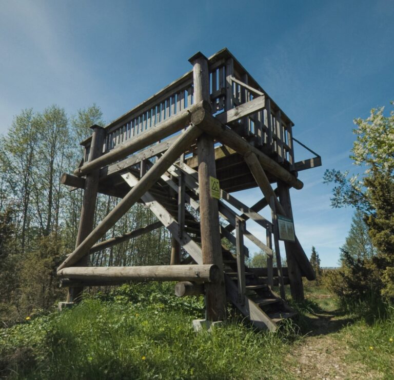 Saare viewing platform