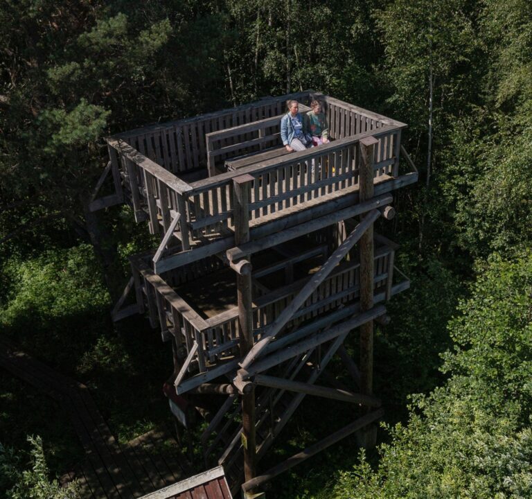 Saare observation tower